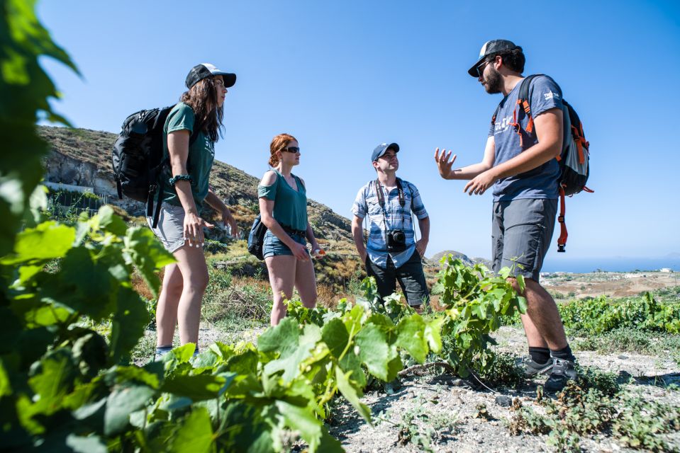 Santorini: Cooking Class and Easy Hike - Inclusions and Price Details
