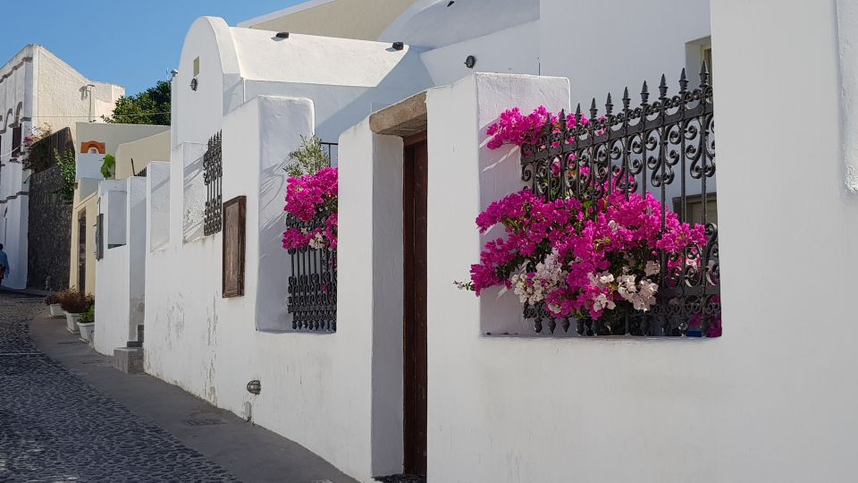 Santorini: Megalochori and Oia Guided Tour With Wine Tasting - Inclusions