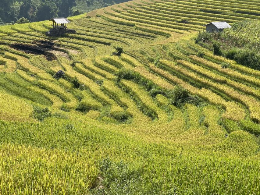 Sapa: Private Muong Hoa Valley and Homestay Trekking 2-Day - Product Details