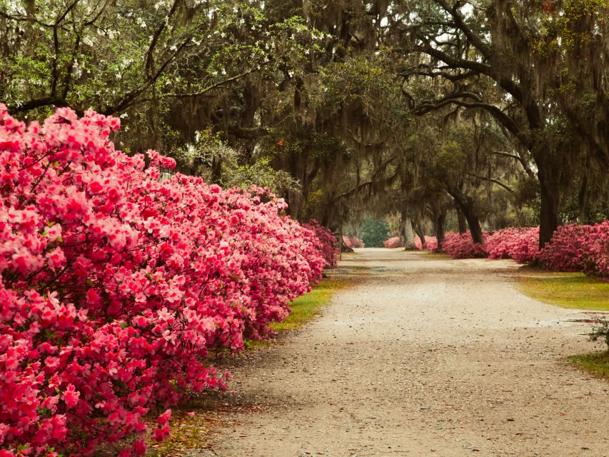 Savannah: Bonaventure Cemetery Tour - Additional Information