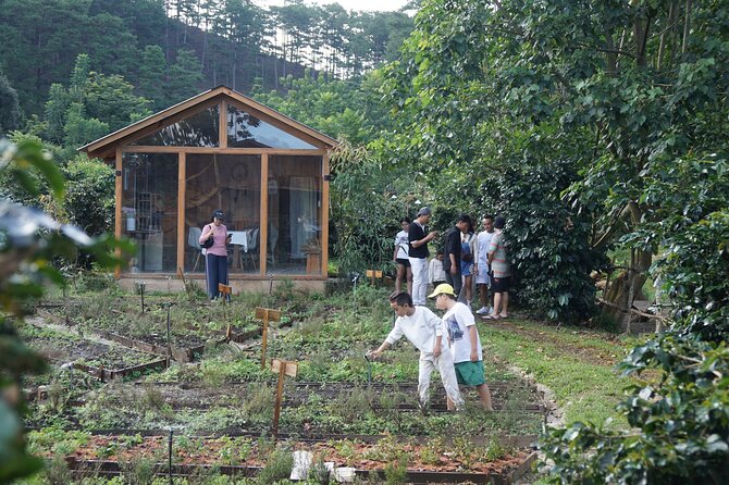 Scented Candle Workshop in Twin Beans Farm Da Lat - Cancellation Policy