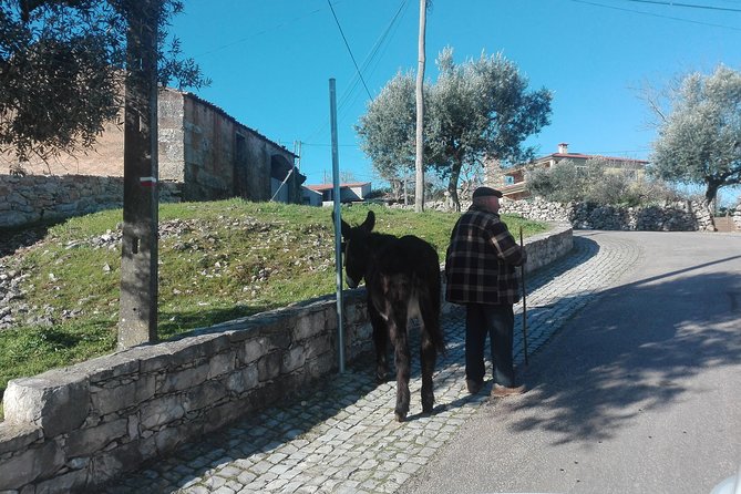 Schist Villages of Lousã and Limestone Villages of Sicó, Full-Day From Coimbra - Additional Information for Travelers