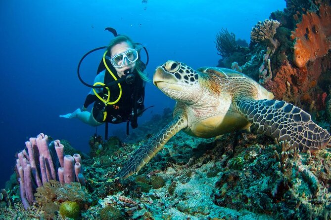 Scuba Diving Adventure in Dubai - Reviews and Support