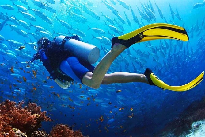 Scuba Diving at Jumeirah Dubai With Private Transfers - Last Words