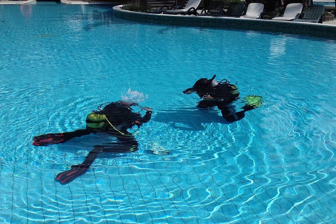 Scuba Diving Courses or Try Diving PADI or SSI - Support and Assistance