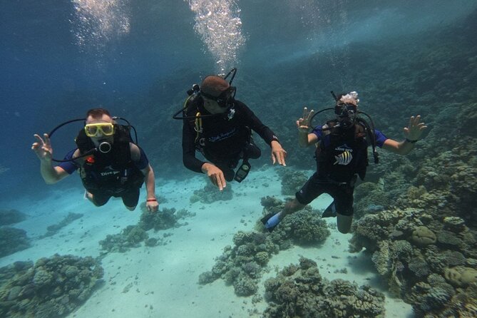 Scuba Diving Experience in Hurghada With Lunch - Review Breakdown and Ratings