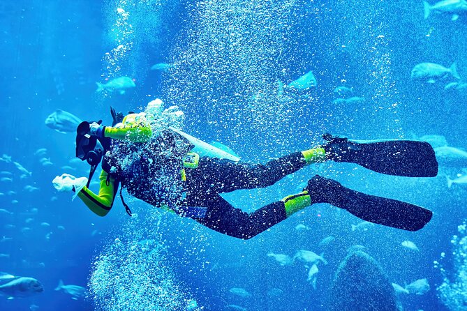Scuba Diving Tour From Abu Dhabi to Dubai - Additional Information and Cancellation Policy