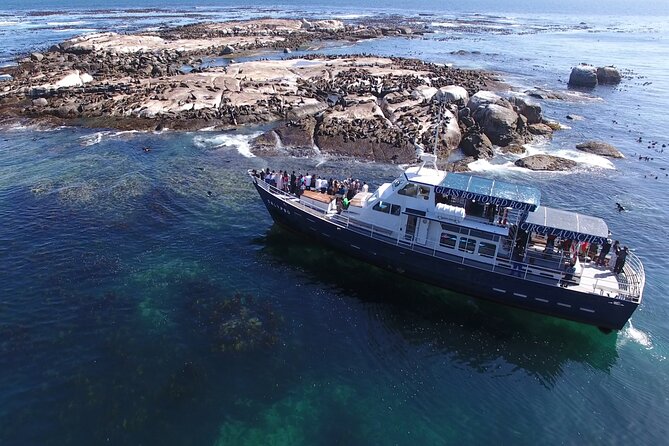 Seal Island,Cape of Good Hope&Penguins Shared Tour,From Cape Town - Traveler Photos