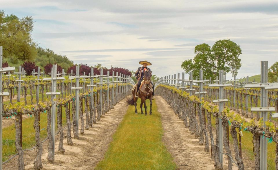 Self-Guided Wine Tasting Audio Tour - Paso Robles CA - Restrictions