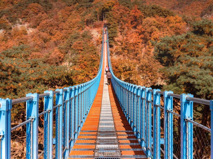 Seoul: Alpaca World, Luge Ride and Suspension Bridge - Important Information