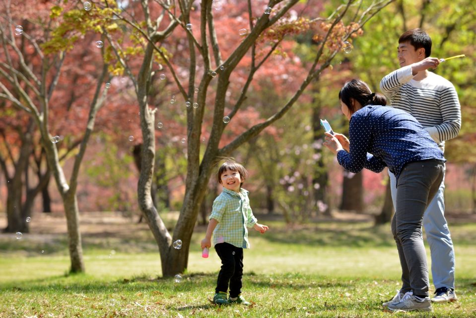 Seoul: Alpaca World & Nami Island (Optional Korean Garden) - Garden of Morning Calm Visit