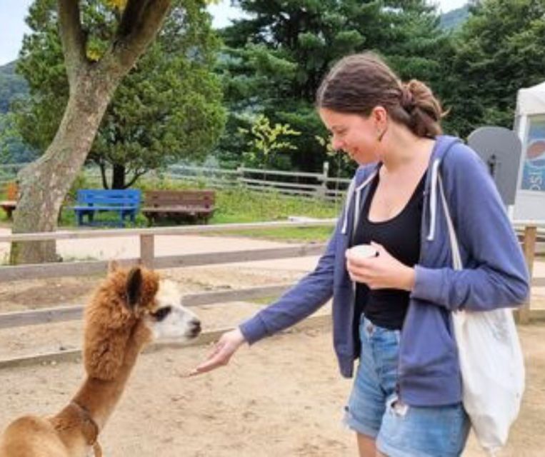 Seoul: Gangwon-Do Day Trip With Alpaca World & Nami Island - Important Information