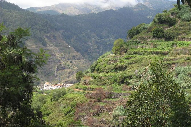 Serra DÁgua Valley - Levada Walk - Tour Experience and Expectations