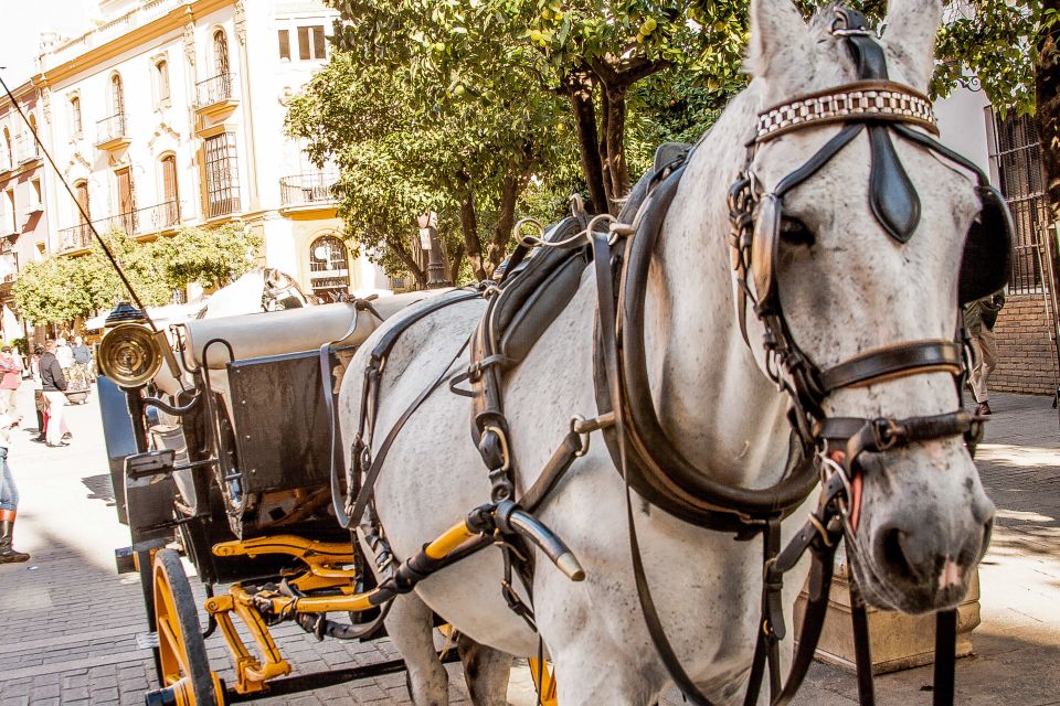 Seville: Authentic and Romantic Horse-Drawn Carriage Ride - Tour Highlights