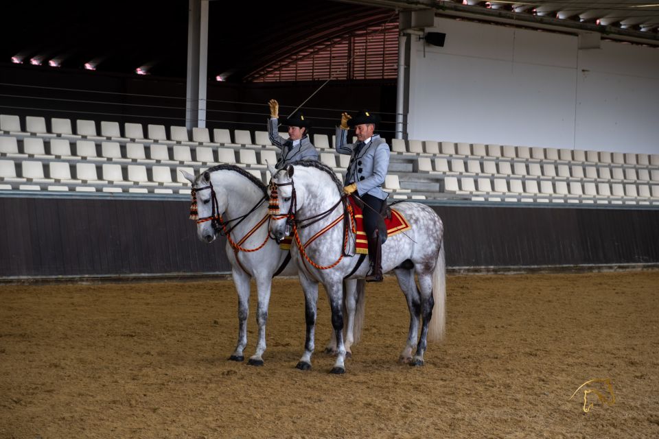 Seville: Horse Show Entry Ticket. Optional Stud Farm Visit - Logistics