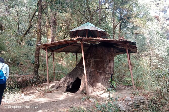 Shivapuri Peak Day Hike From Kathmandu - Wildlife and Scenery