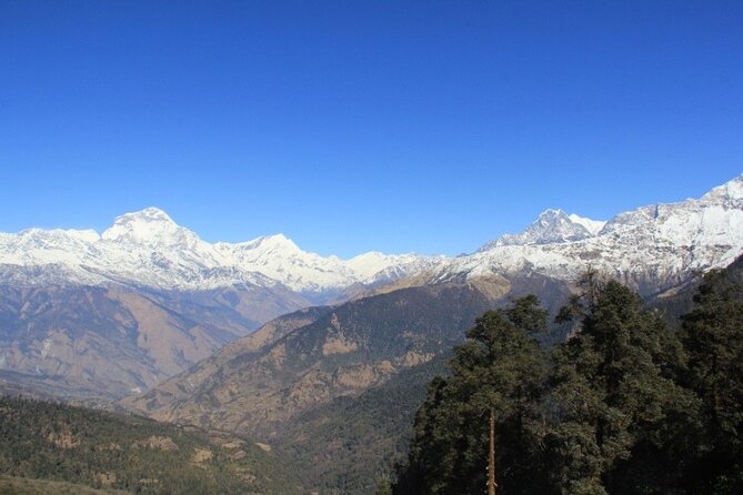 Short Annapurna Base Camp Trek - 7 Days - Safety and Insurance Coverage