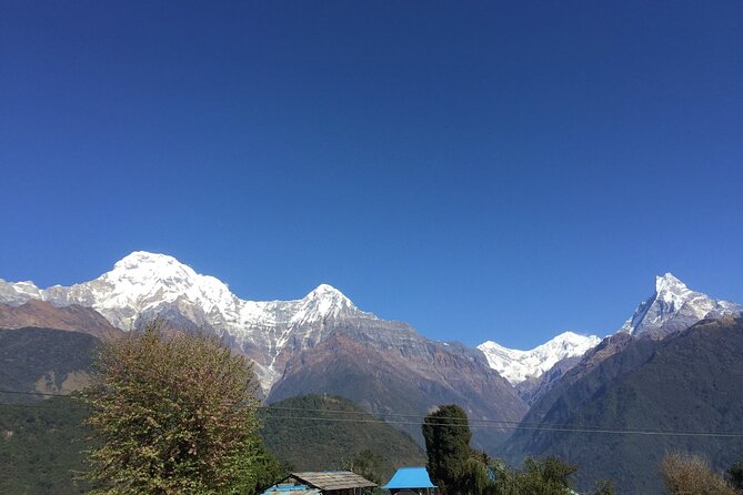 Short Annapurna Base Camp Trekking - 7 Days - Reviews Summary