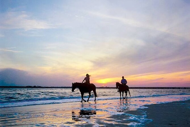 Side Horse Riding On Beach And Through The Forests For 2 Hours - Reviews and Ratings