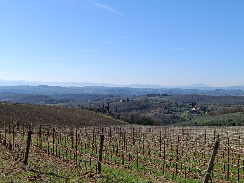 Siena: E-Bike Tour in the Chianti Senese With Lunch - Meeting Point