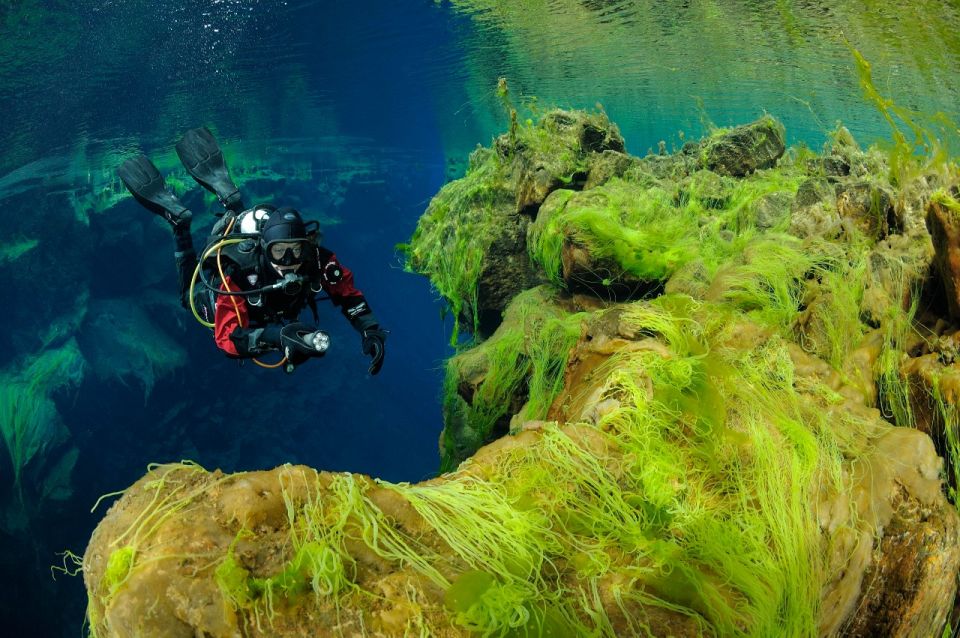 Silfra: Diving Between Tectonic Plates - Activity Details