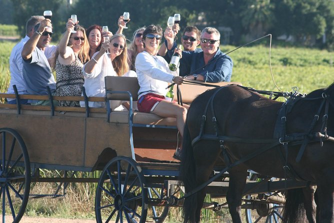 Simondium Small-Group Horse and Carriage Ride With Wine  - Franschhoek - Group Size and Language