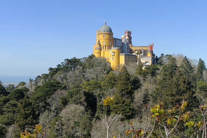 Sintra Essentials From Lisbon - Helpful Traveler Assistance and Support