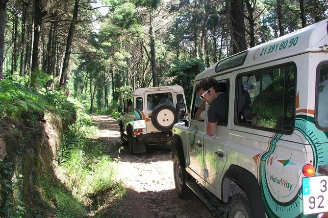 Sintra Jeep Full Day - Engage With Knowledgeable Guides