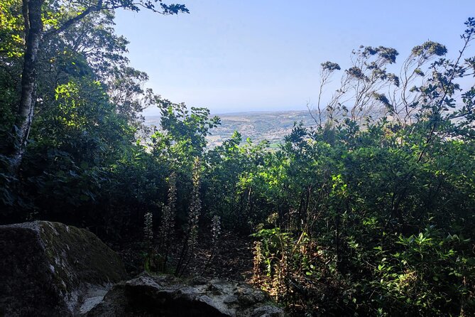 Sintra Private Hiking Adventure Tour - Traveler Reviews