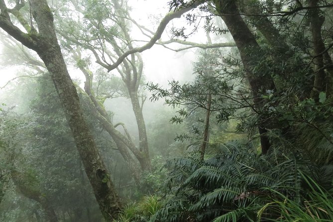 Skeleton Gorge to Table Mountain Summit - Operational Details