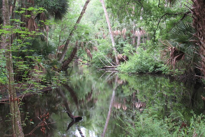 Small Group Blackwater Creek Scenic River Kayak Tour With Lunch - Cancellation Policy