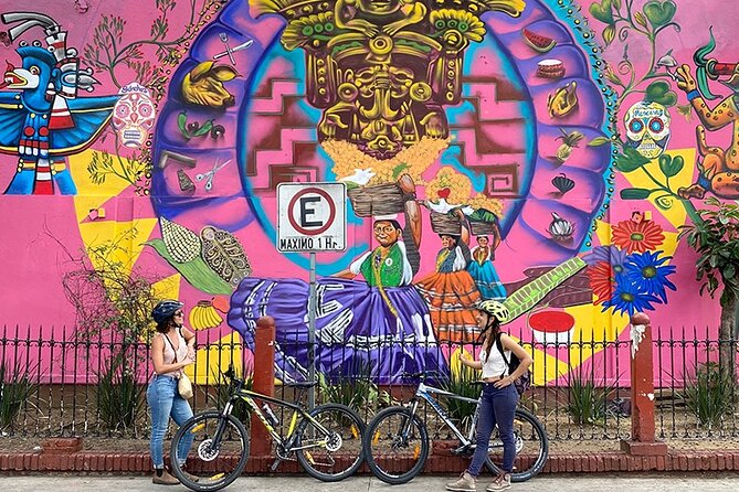 Small-Group Half-Day Bicycle Tour to Street Art Spots, Oaxaca  - Oaxaca City - Customer Reviews