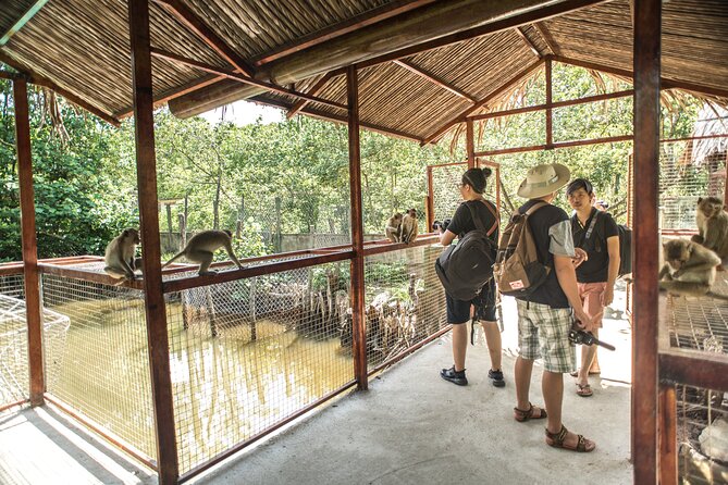 Small-Group Tour to Can Gio Vam Sat Mangrove Forest - Pricing and Booking Information