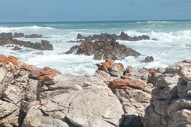 Small Group Tour to Cape of Good Hope and Boulders Beach Penguin - Important Reminders