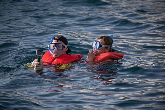 Snorkel, Lunch & Sail in Cabo San Lucas - Snorkeling Gear & Lunch Provided