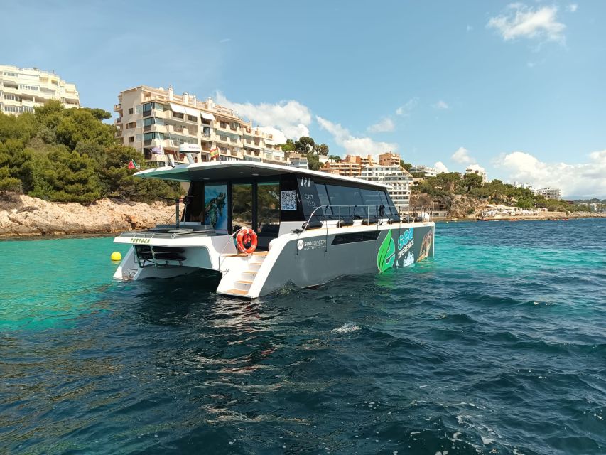 Snorkeling Experience Onboard of E-Catamaran at Palma Bay - Snorkeling Equipment Provided