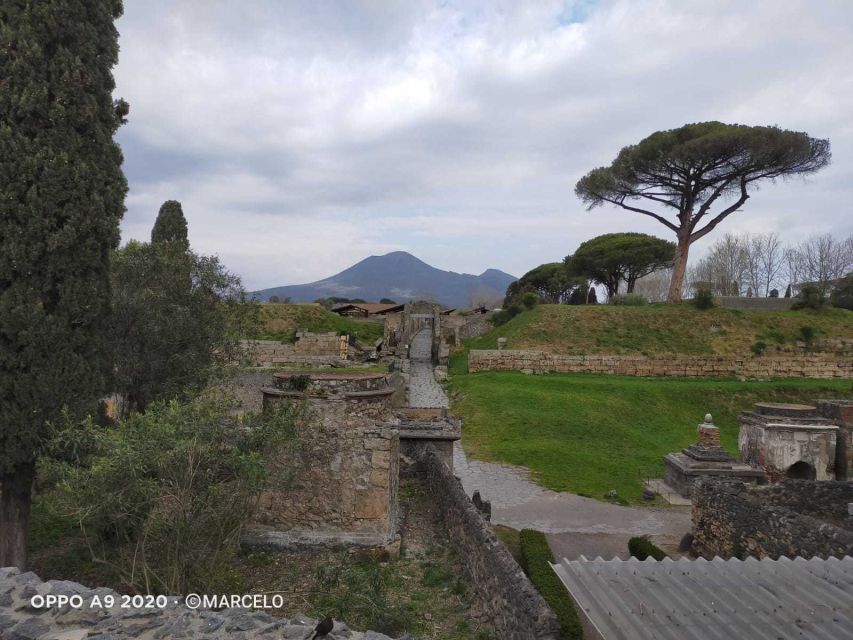 Sorrento: Half-Day Pompeii Tour With Official Guide - Important Information