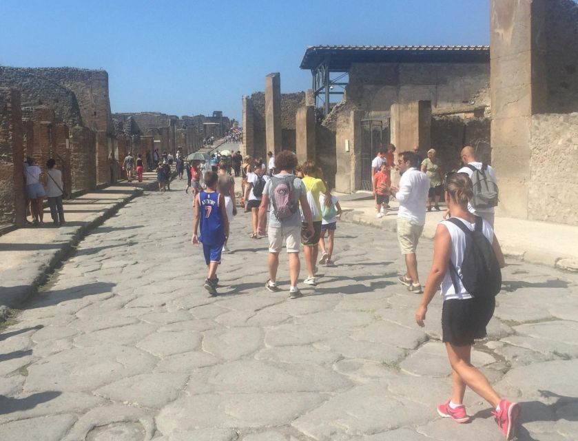 Sorrento: Transfer From or to Sorrento With a Stop at Pompeii Archaeological Site - Last Words