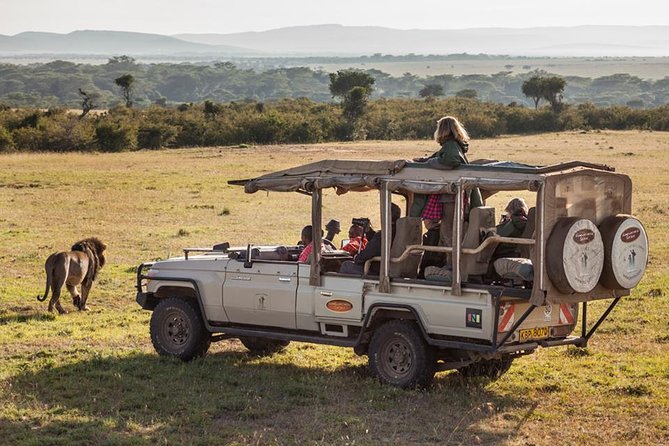 South Africa Cape Town, Big Five Safari Gateway Tour - Cancellation Policy and Terms