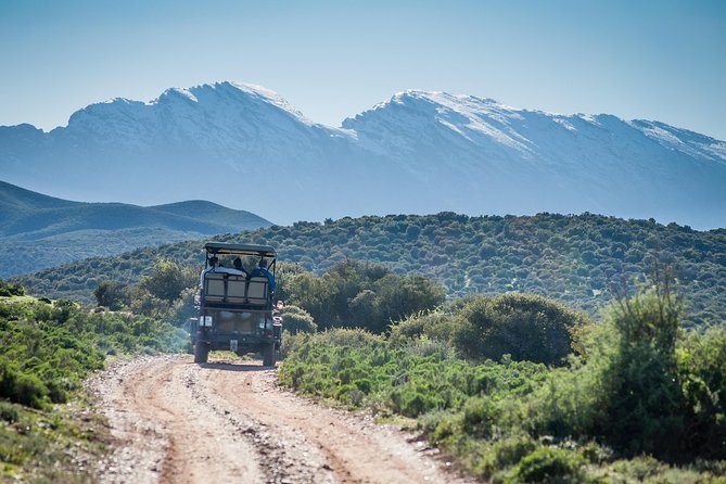 South African Bush Safari in Oudtshoorn  - Western Cape - 360-Degree Panoramic Views