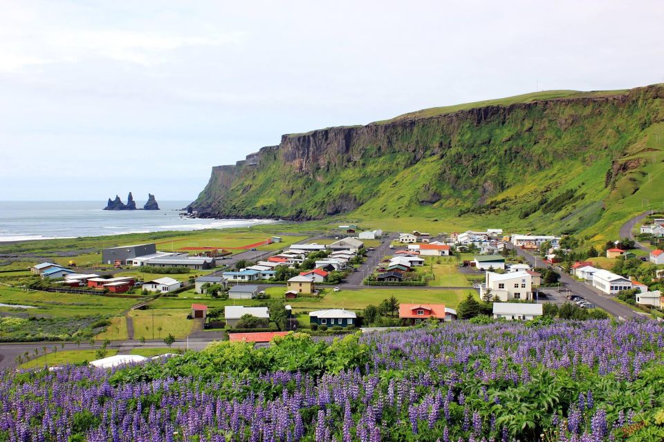 South Coast & Katla Ice Cave From Reykjavik and Vik - Inclusions