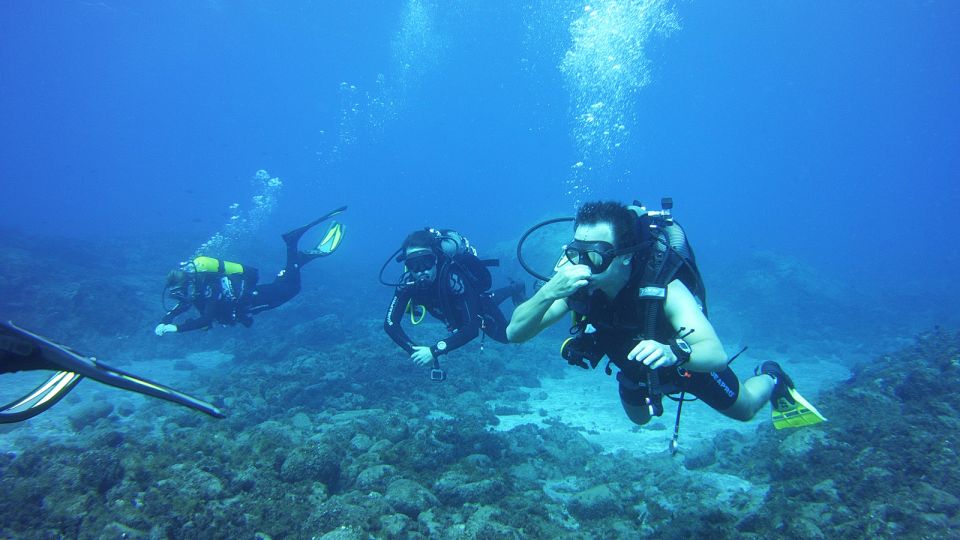 South Tenerife: Beginners Scuba Diving Experience - Reservation Details