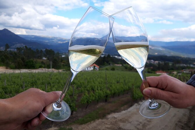 Sparkling Wines Tasting Quinta De Santa Cristina Vinho Verde - Traveler Resources and Reviews