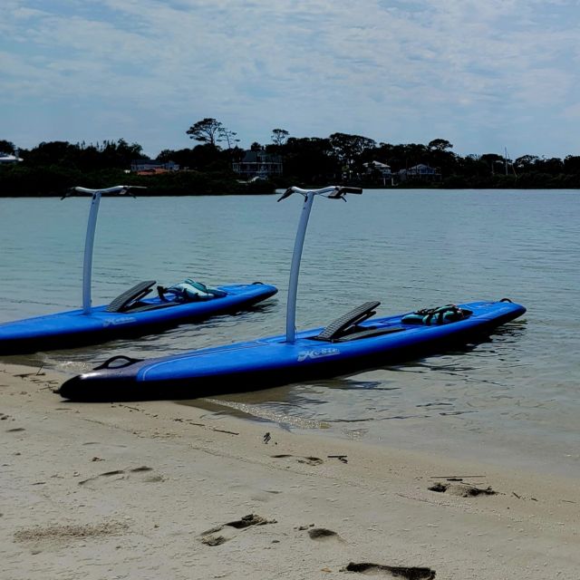 St. Augustine: Standup Pedal-boarding Dolphin Tour - Additional Details and Experience