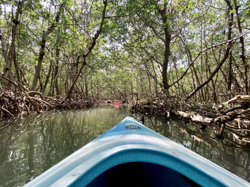 St. Petersburg, FL: Weedon Island Kayak Tour - Directions and Location Information