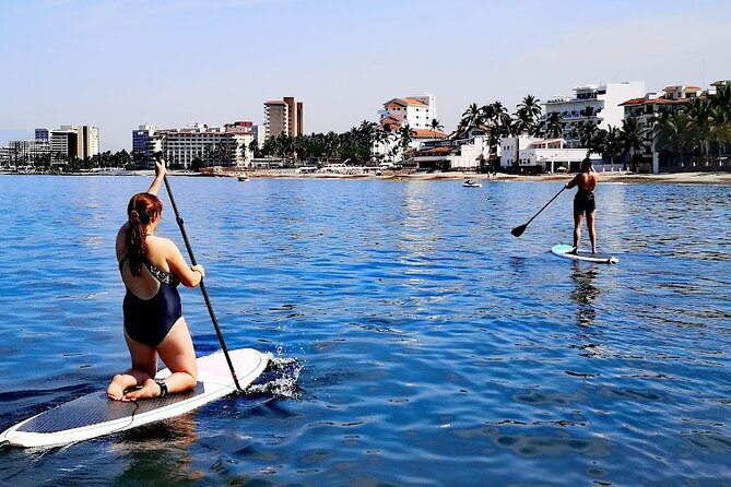 Stand Up Paddle Boarding Adventure in Puerto Vallarta - Reviews and Pricing