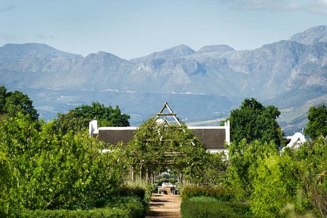 Stellenbosch Winelands Half-Day Tour From Cape Town - Cancellation Policy