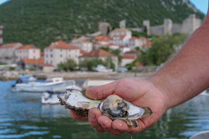 Ston With Wine Tastings at Peljesac Peninsula Full Day Tour! - Meeting Point and Start Time