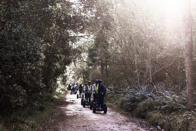 Storms Rivier 1-Hour Guided Segway Experience  - Tsitsikamma National Park - Meeting Point Details