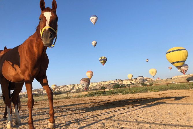 Sunrise Horsebackriding Tour in Cappadocia - Last Words